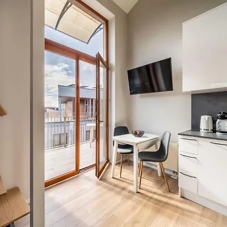New Loft With Rooftop Terrace In The Old Town Apartament *