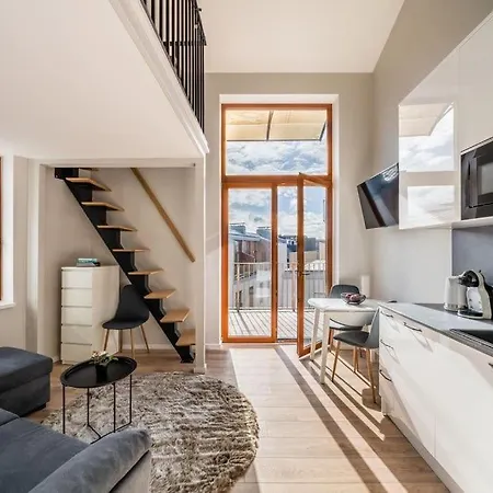 Apartament New Loft With Rooftop Terrace In The Old Town