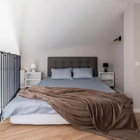 Apartament New Loft With Rooftop Terrace In The Old Town Ryga